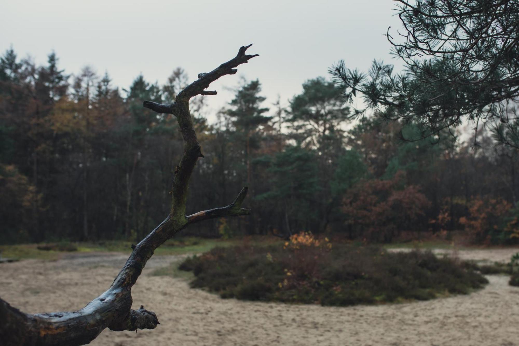 Drents Genieten - Kraaiheide Met Prive Jacuzzi Erm Esterno foto